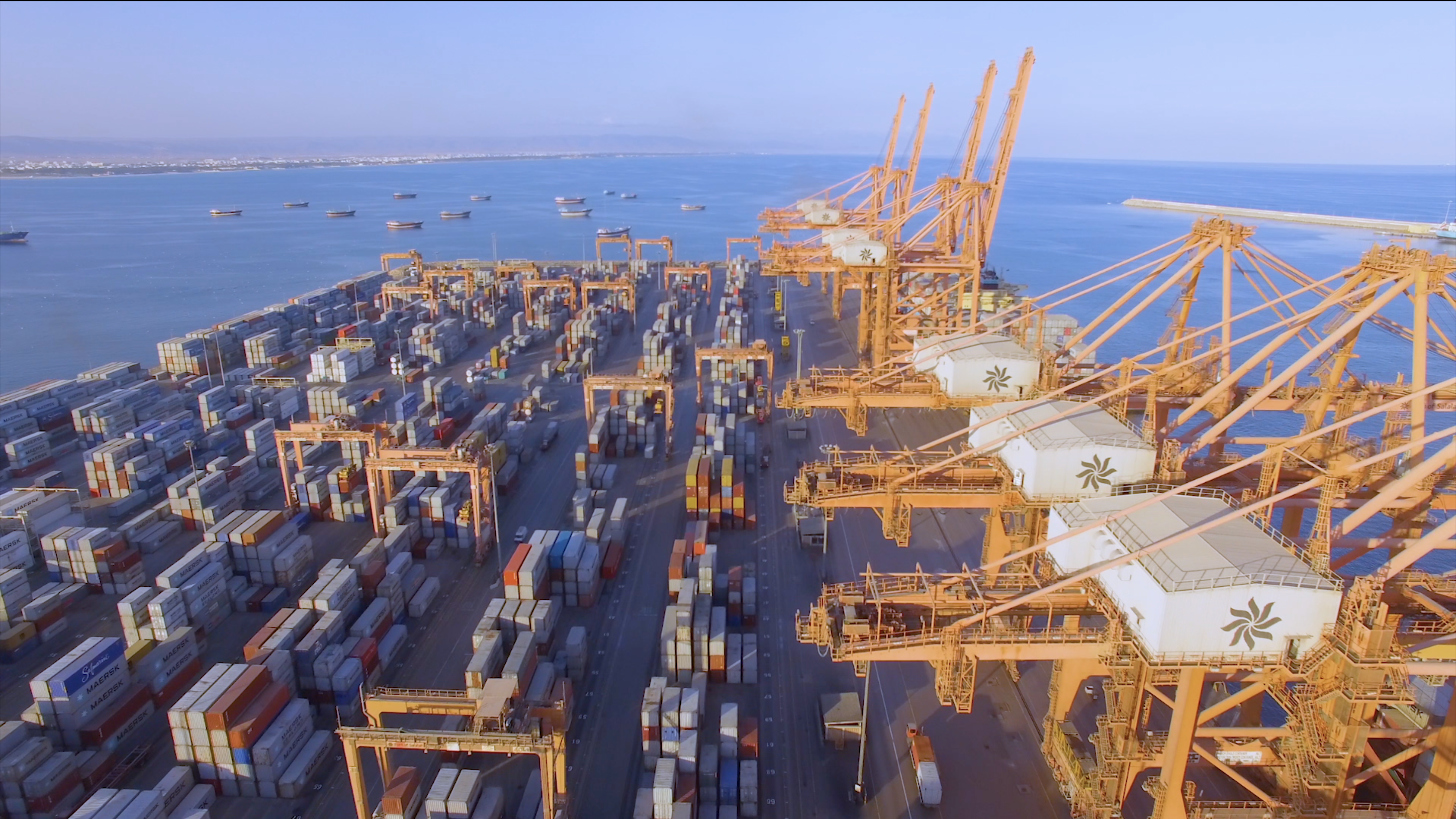 كيف تبدأ مشروعًا تجاريًا في منطقة التجارة الحرة بعمان؟